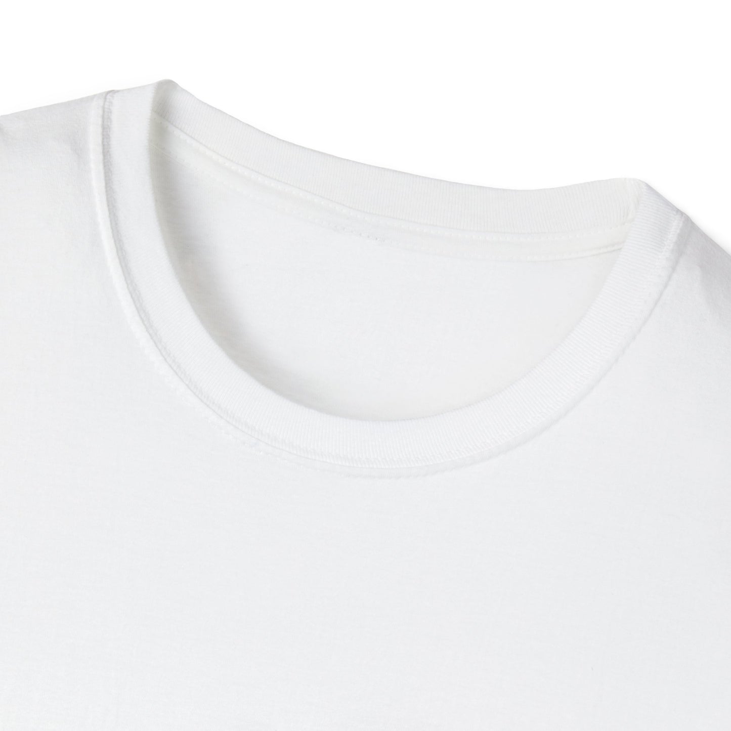 Unisex Softstyle T-Shirt - 'Be Bold and Be Right' Inspirational Graphic Tee